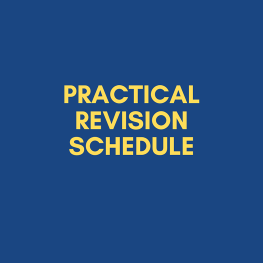 Practical Revision Schedule 2025