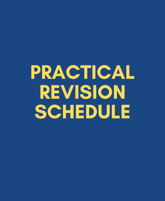 Practical Revision Schedule 2025