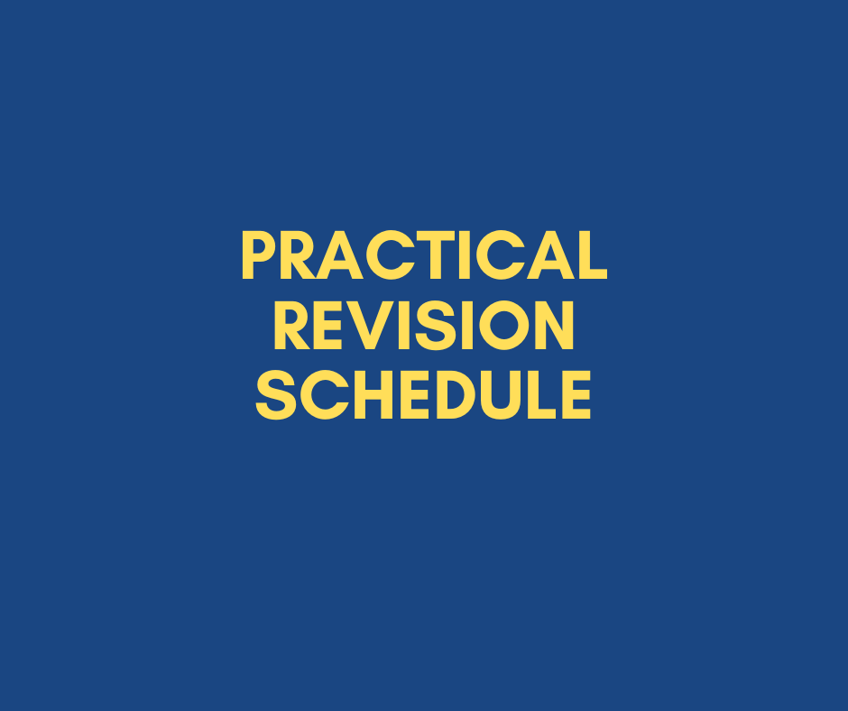 Practical Revision Schedule 2025